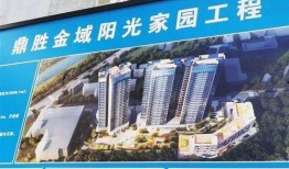 福保最新爆料,揭秘娱乐圈惊人内幕